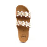 Scholl ženske papuče Sintra 2 Straps braon